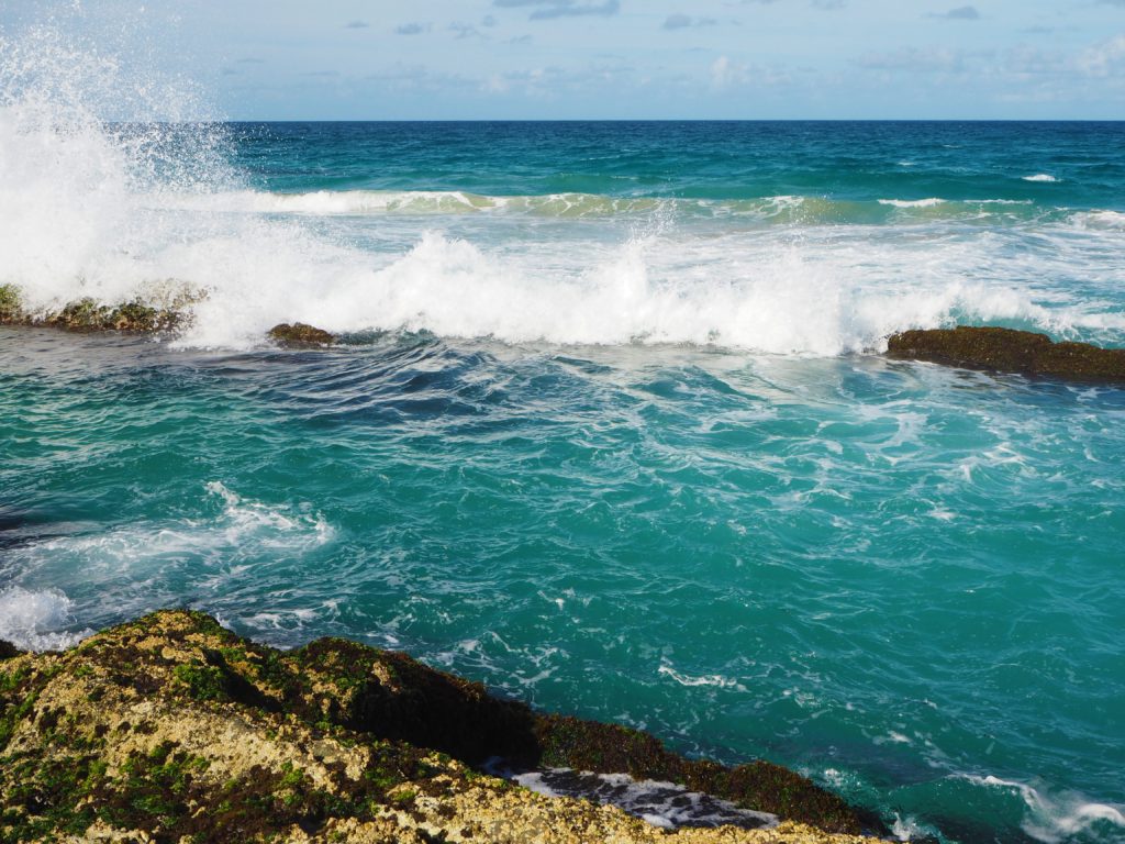 Vlny Snapper Rocks, Gold Coast 2020.